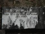 image of grave number 449138